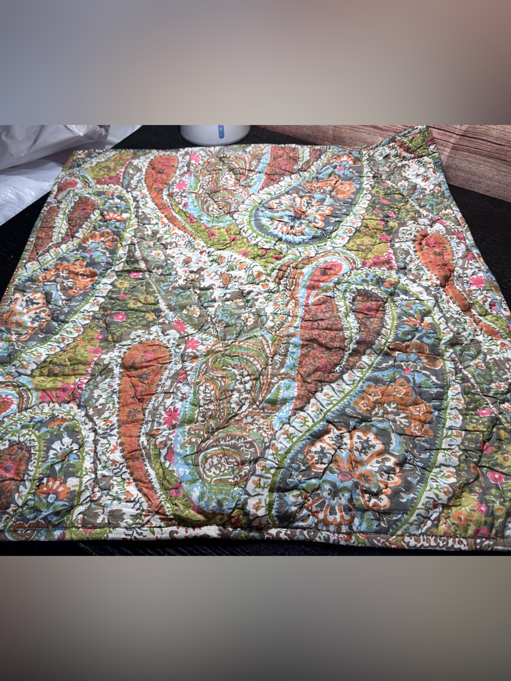 Pottery Barn Zia paisley ikat quilted Euro pillow cover Sham NWOT